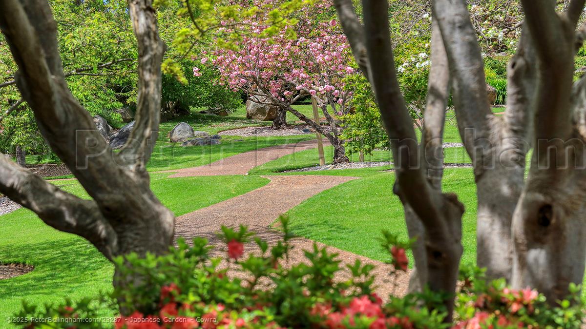 Peter Bellingham Photography Japanese Garden - Cowra